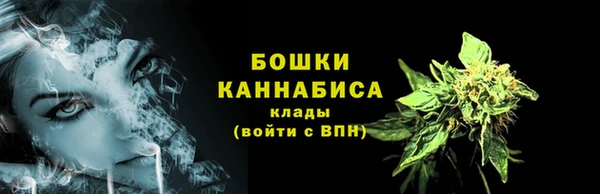 СК Белокуриха