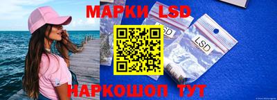 ГАЛЛЮЦИНОГЕННЫЕ ГРИБЫ Кинель