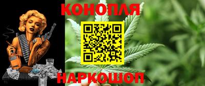 ГАЛЛЮЦИНОГЕННЫЕ ГРИБЫ Кинель