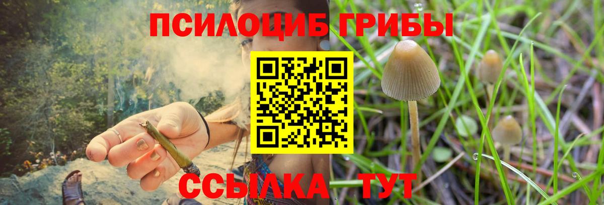 Галлюциногенные грибы GOLDEN TEACHER Миасс