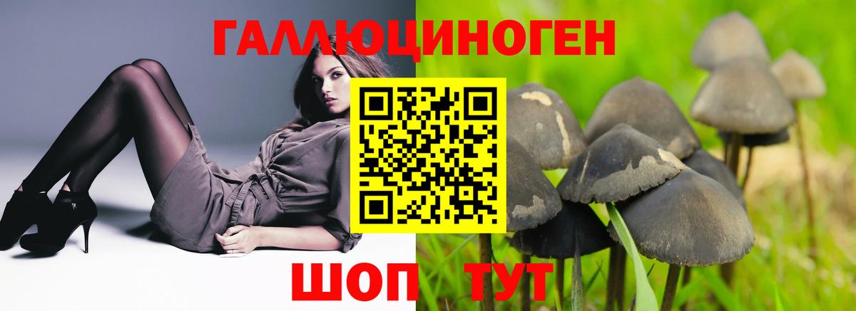 Галлюциногенные грибы прущие грибы  Вход с VPN  Галлюциногенные грибы MAGIC MUSHROOMS  Миасс 